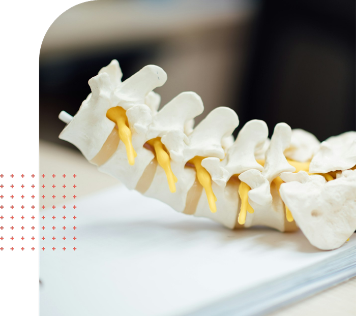 NJ Spine Care